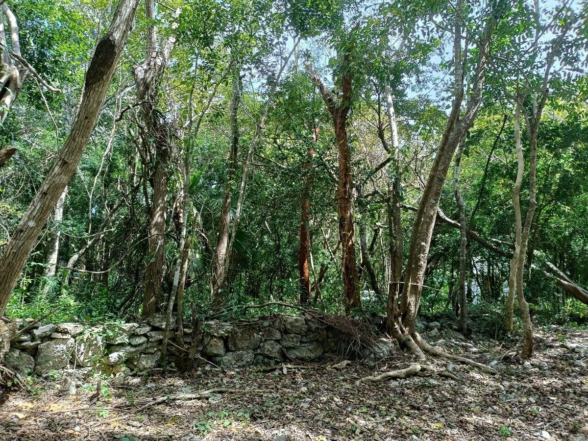 Terreno Spot2