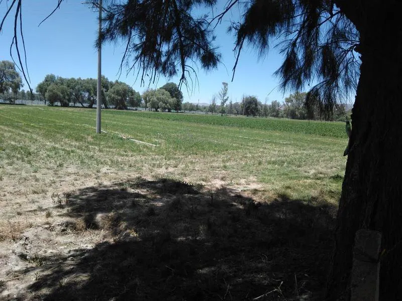 Terreno Spot2