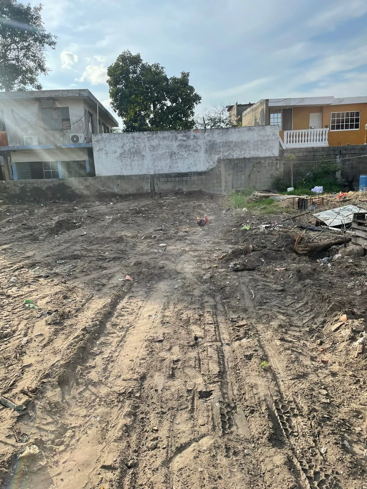Terreno Spot2