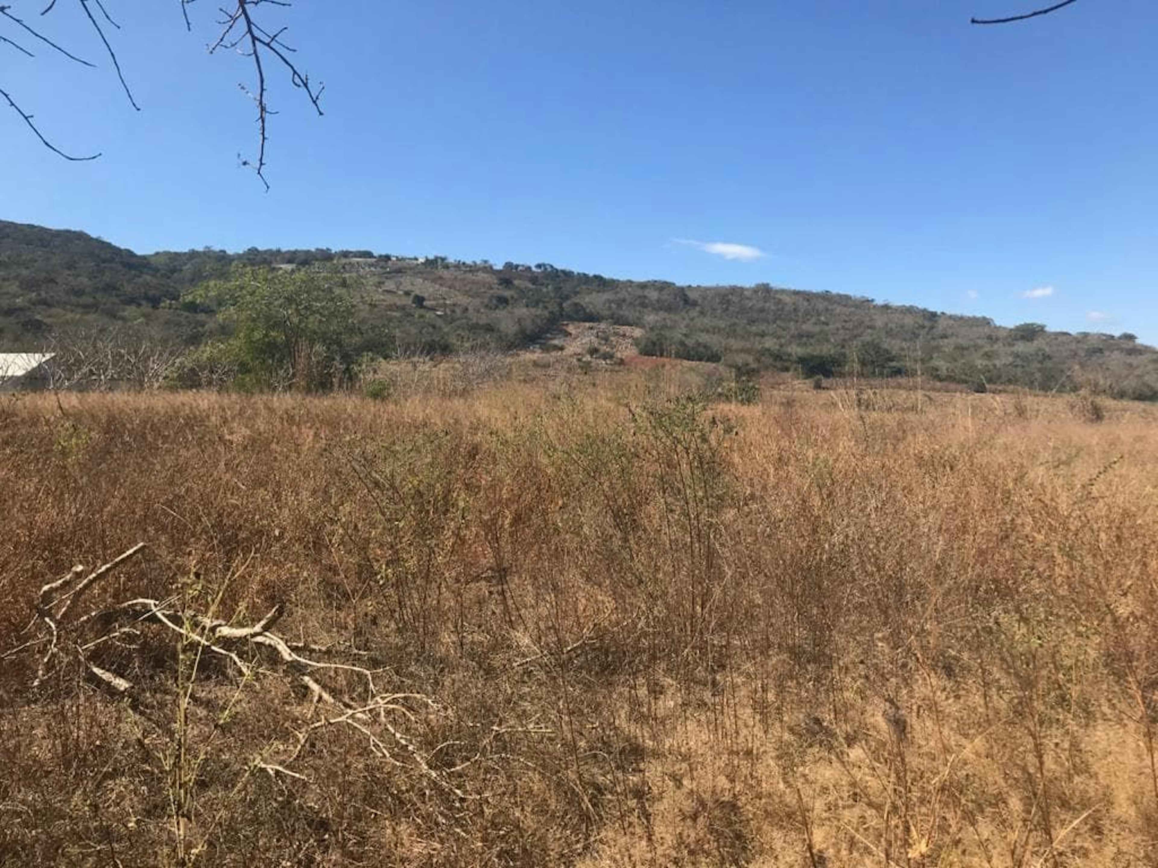 Calzada Samuel León Brindis 70a