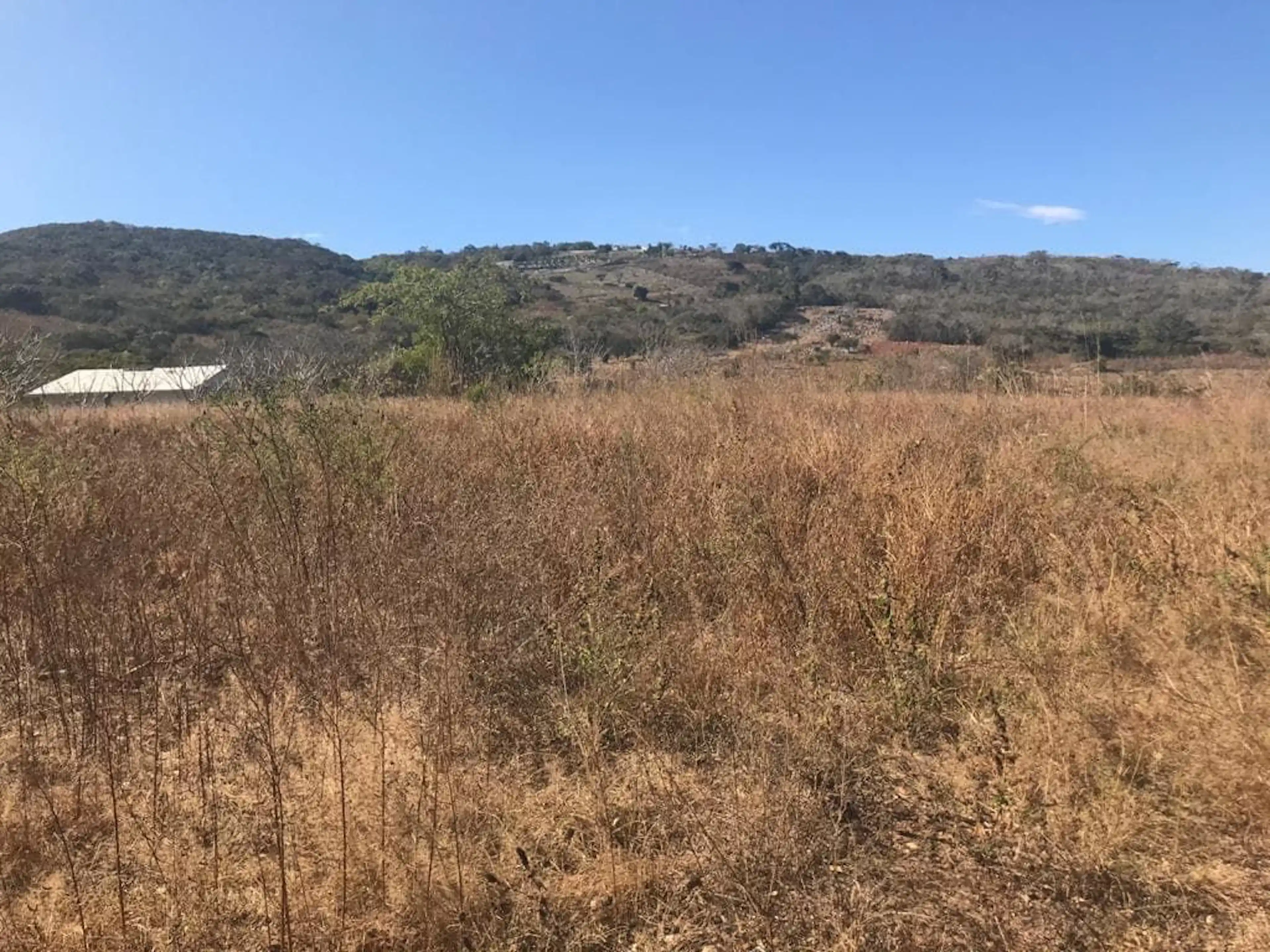 Se Vende Terreno Rustico, plano y céntrico en Emiliano Zapata.