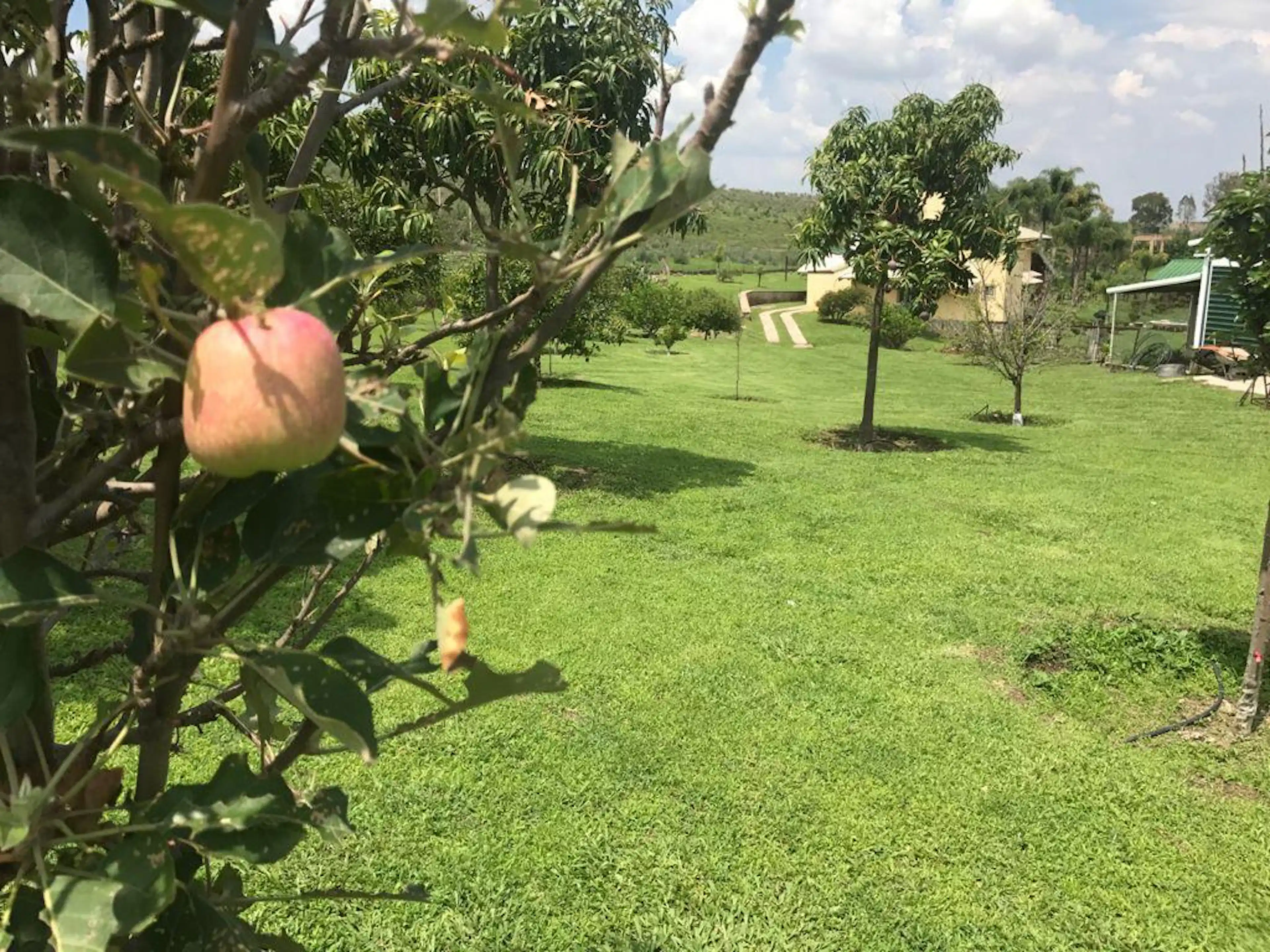 Terreno En Nextipac Zapopan Jalisco