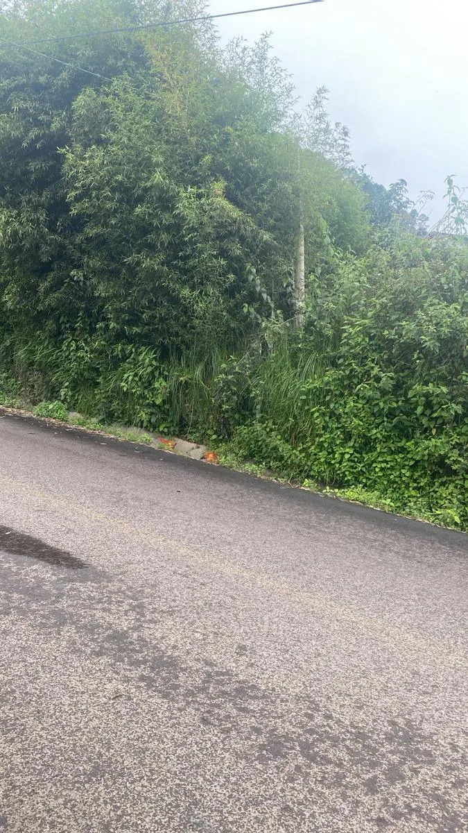 Terreno Spot2