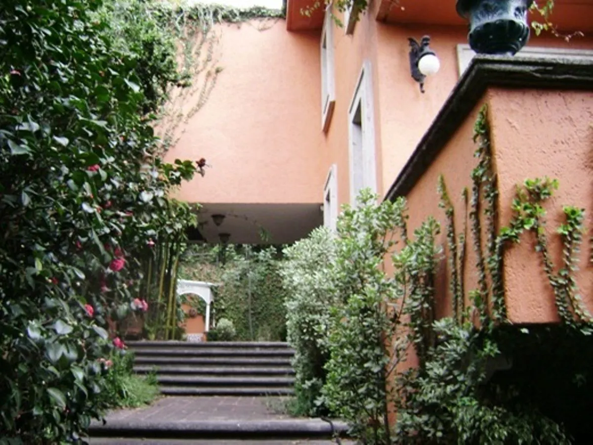 Terreno Spot2