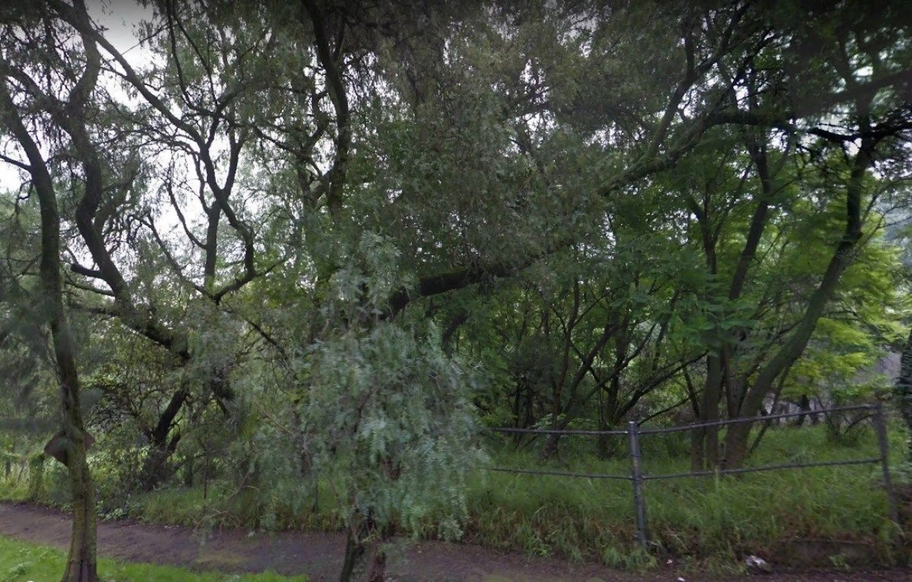Terreno Venta Cerro de Mayka, Lomas de Chapultepec, RTV437552