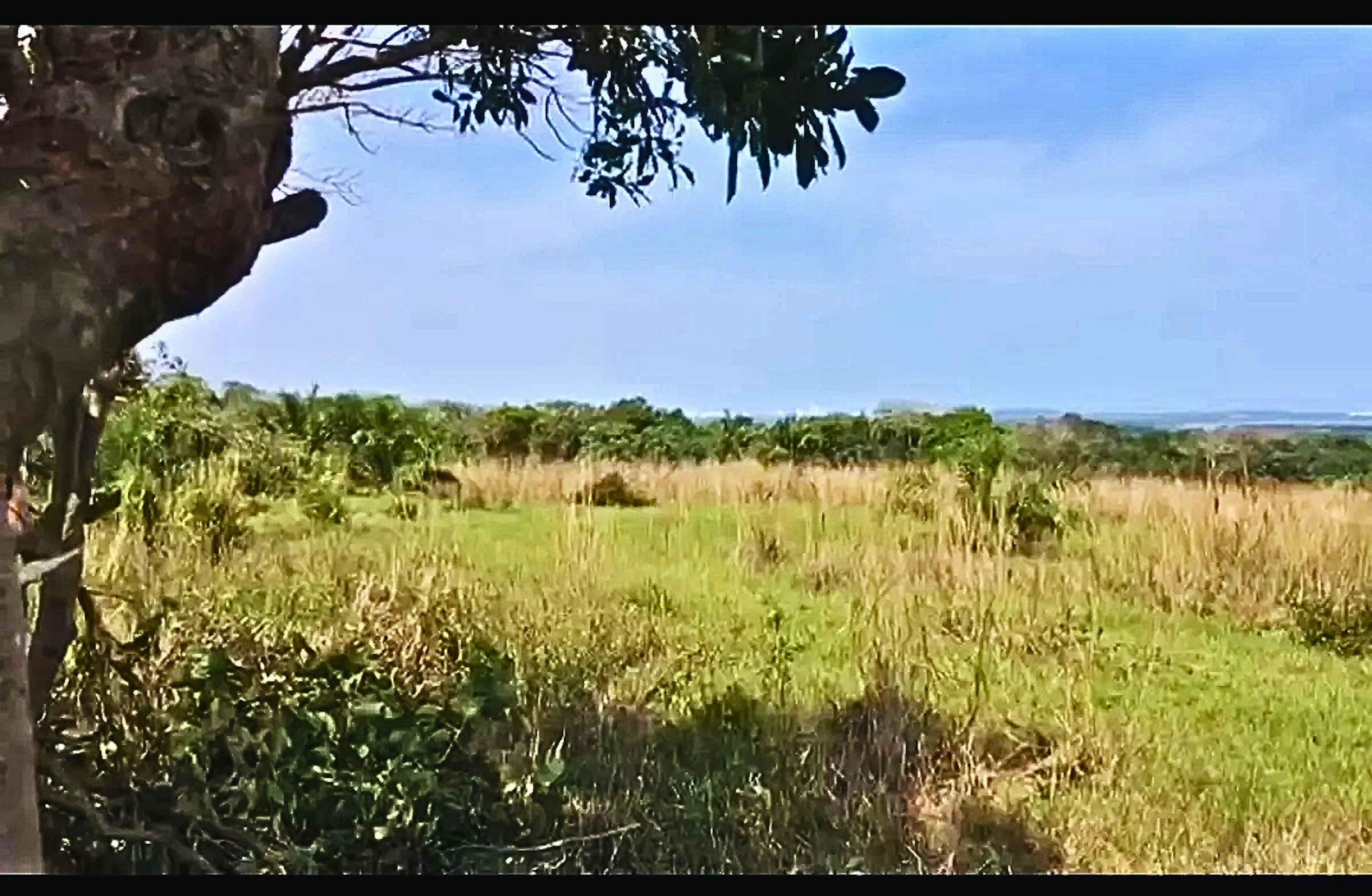 Terreno En Venta En La Laguna Y Monte Del Castillo, Medellín De Bravo, Veracruz De Ignacio De La Llave