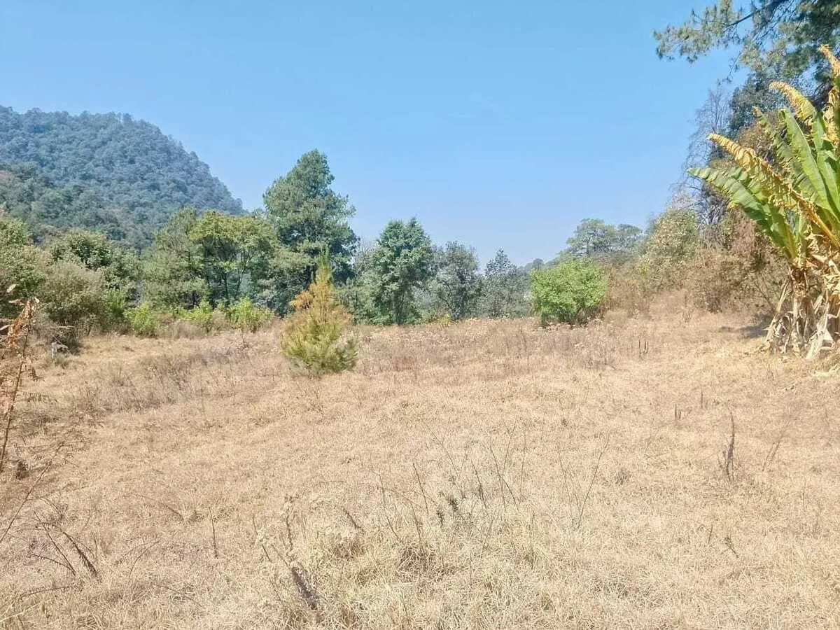 Terreno Spot2