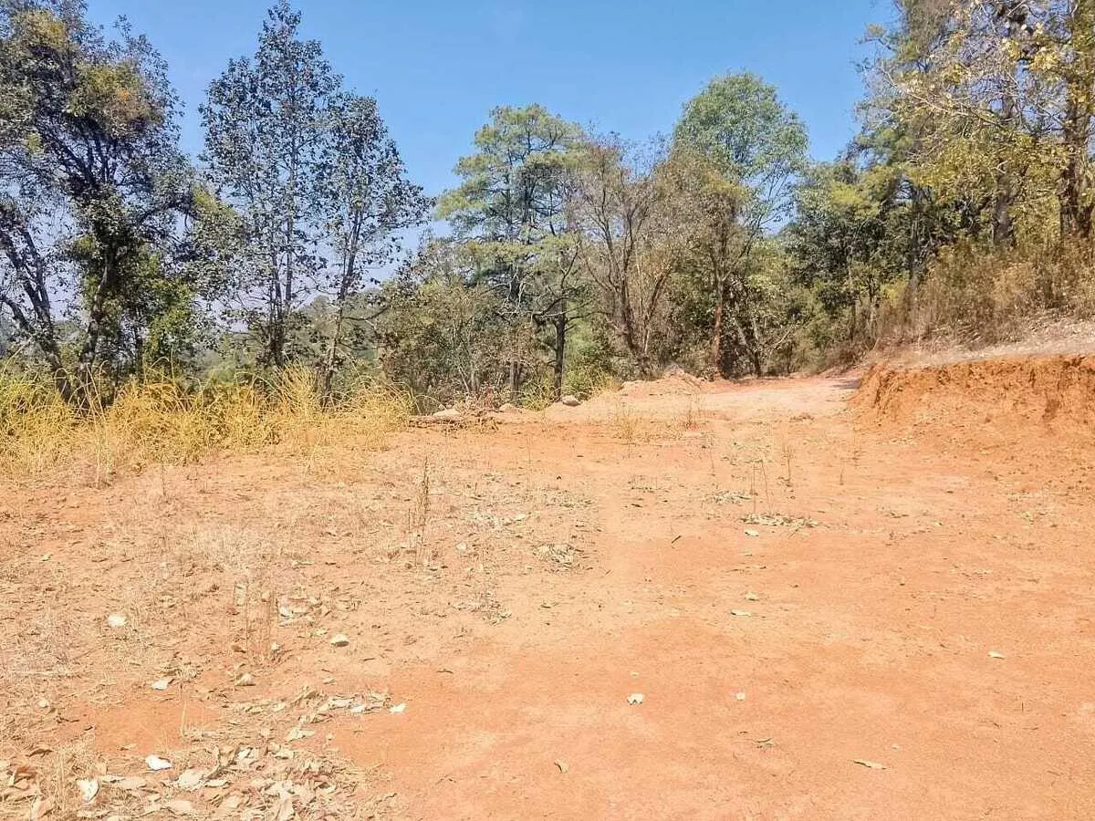 Terreno Spot2