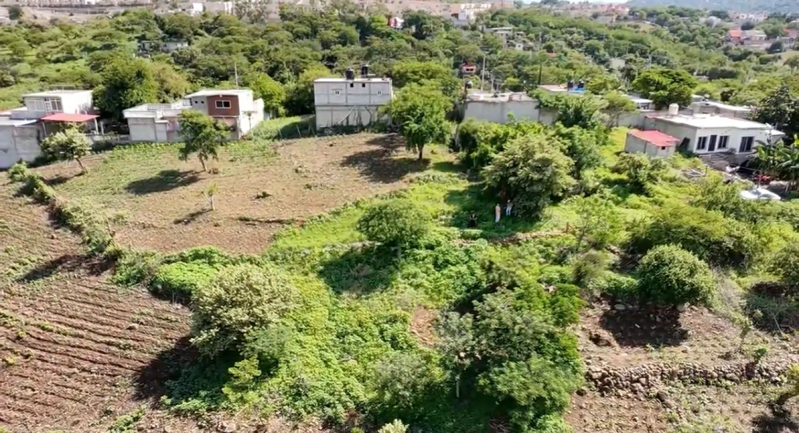 Terreno Spot2
