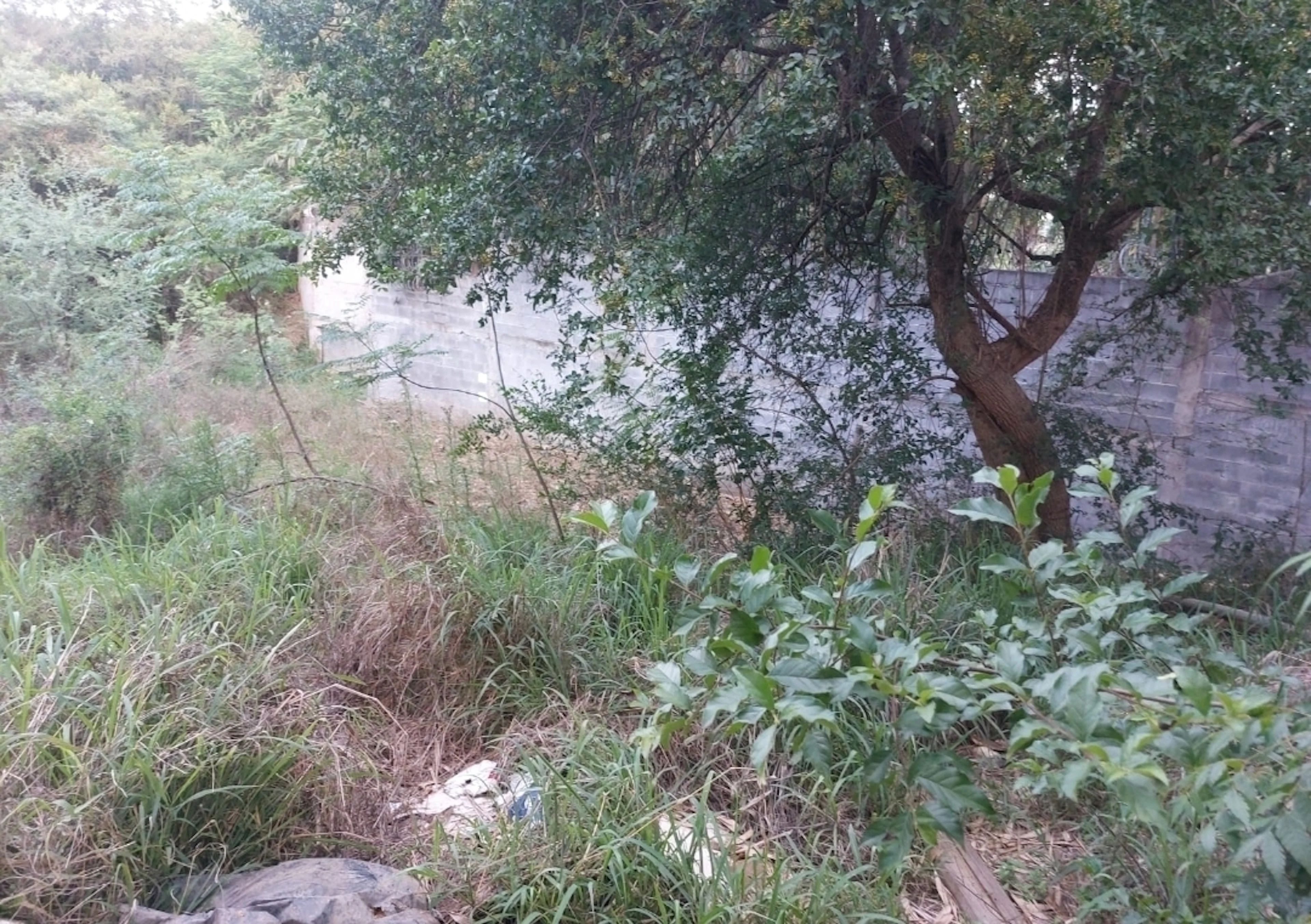 Terreno Spot2