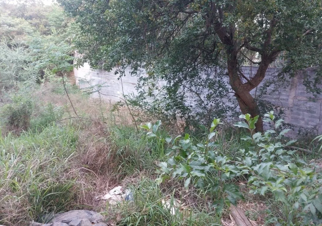 Terreno Spot2
