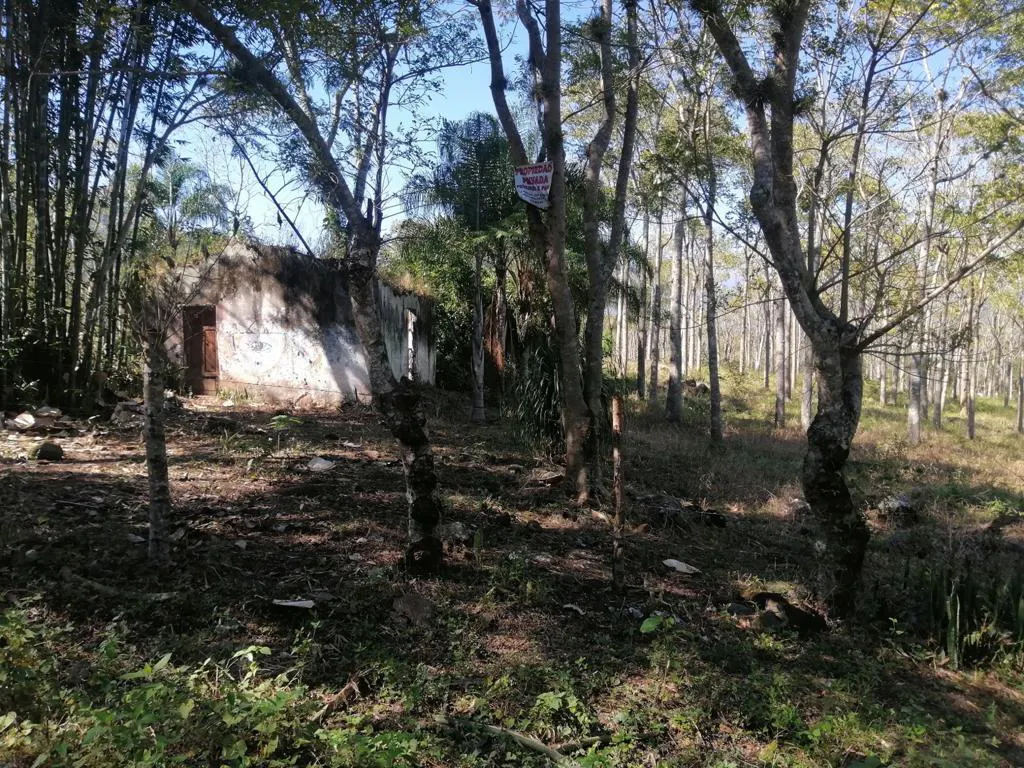 Terreno Spot2
