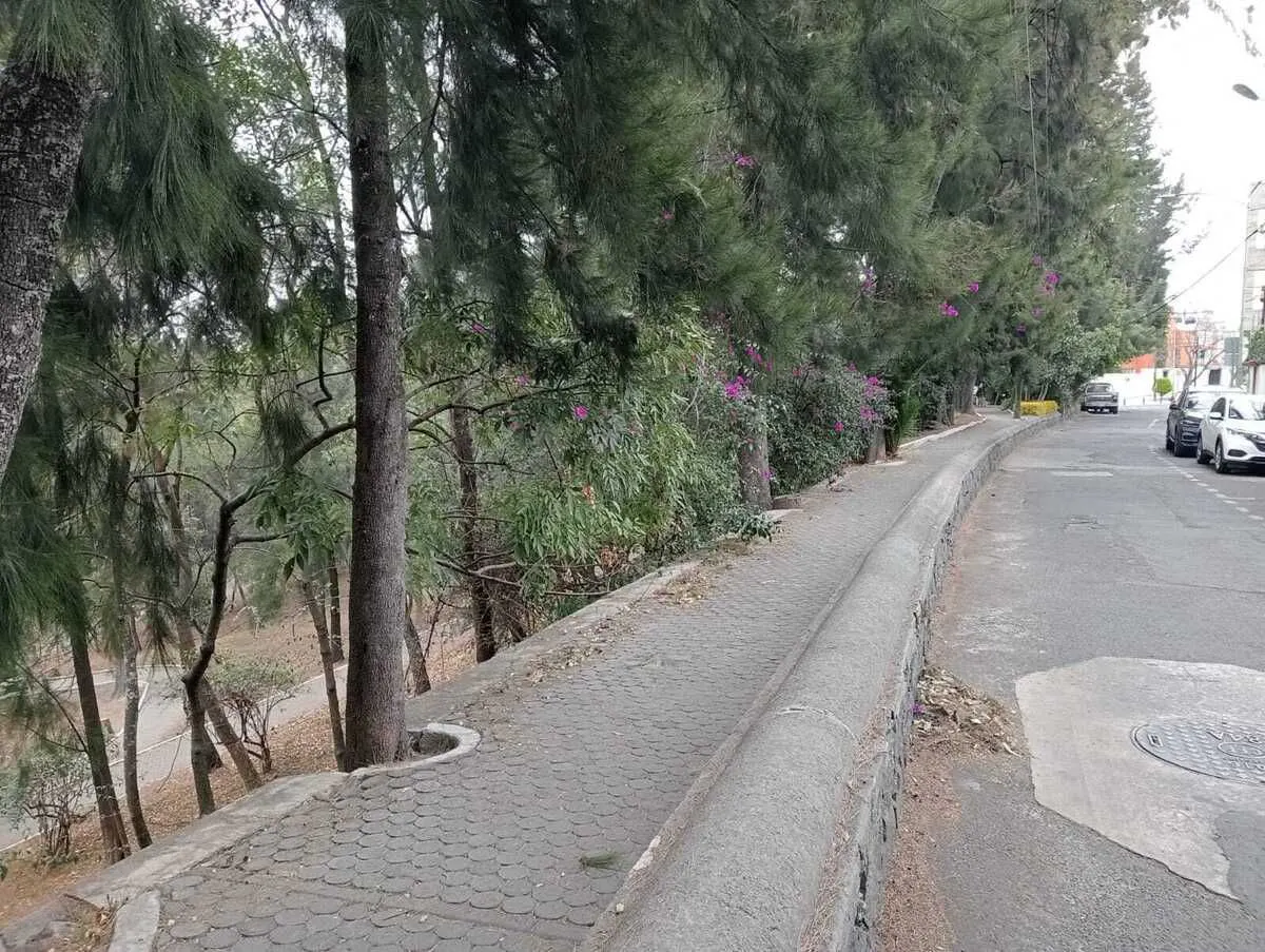 Terreno Spot2