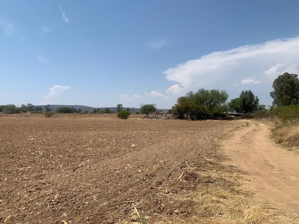 Terreno Spot2