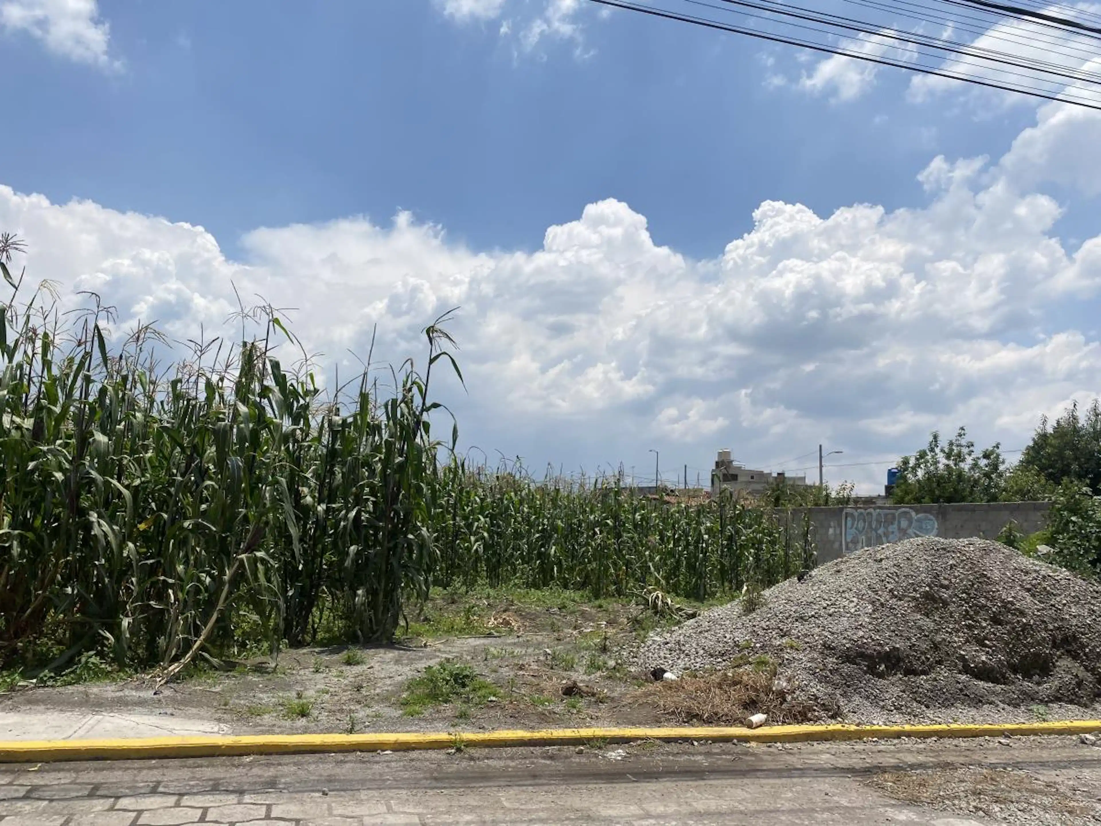 Terreno En Venta En San Miguel Totocuitlapilco, Metepec, México