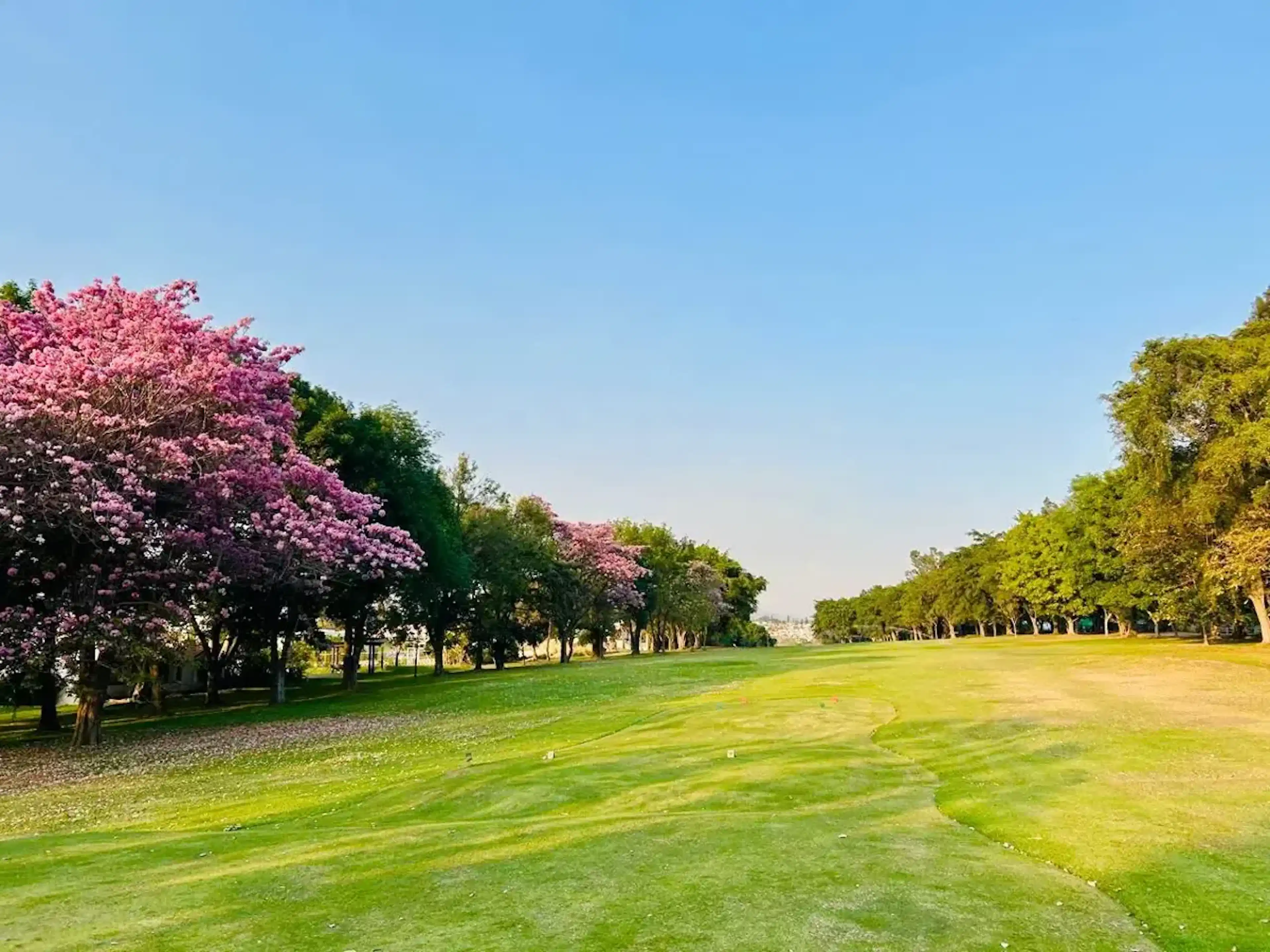 Terreno En Venta En Lomas De Cocoyoc, Atlatlahucan, Morelos