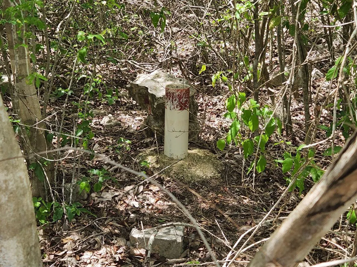 Terreno Spot2