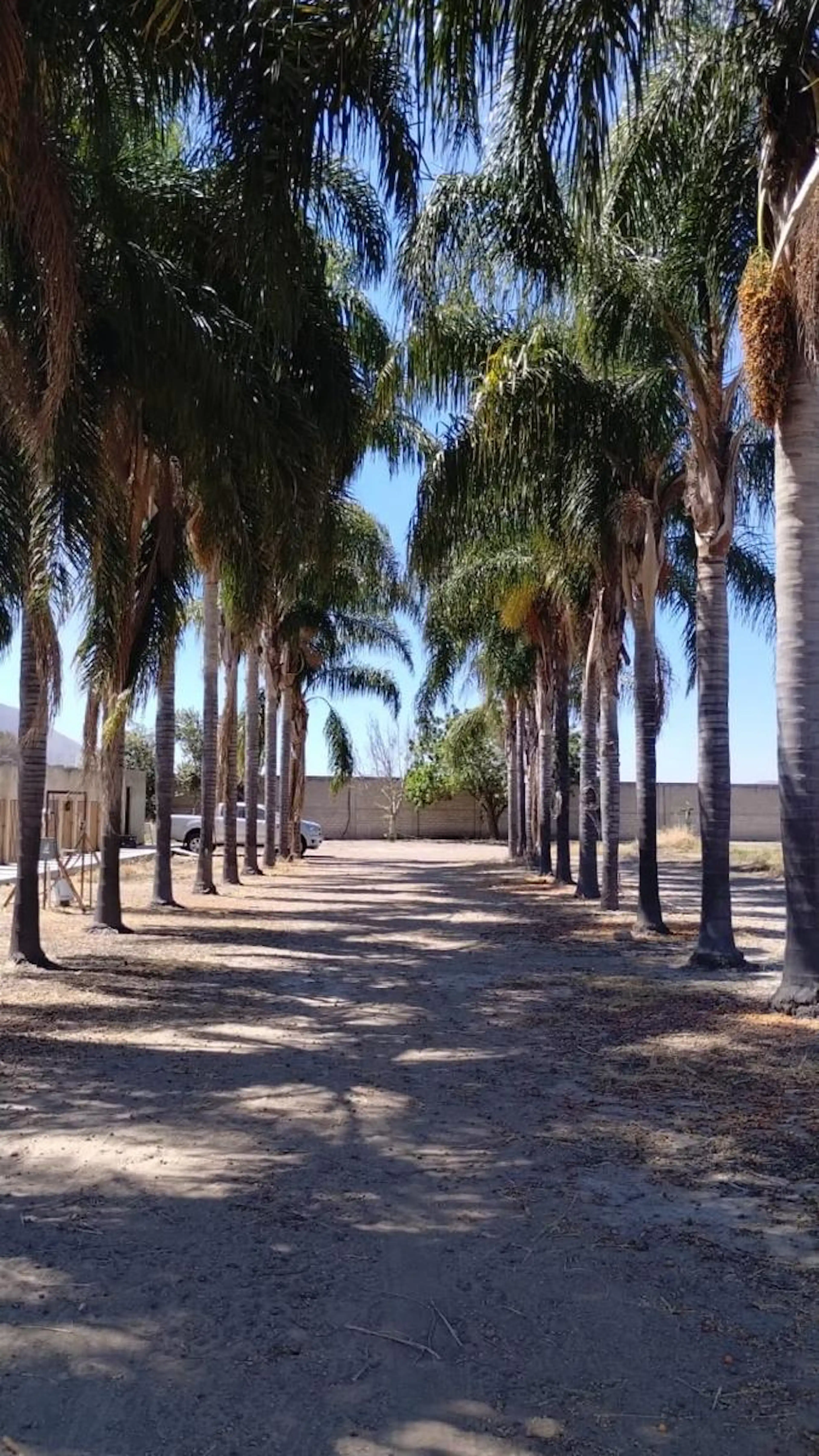 Terreno En Venta, Kilometro 10 Carretera A San Isidro Mazatepec