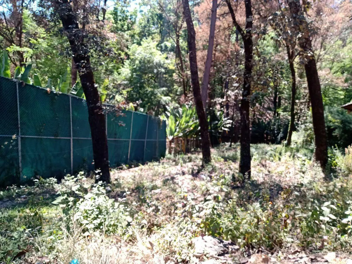 Terreno Spot2