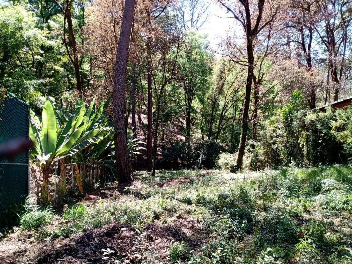 Terreno Spot2