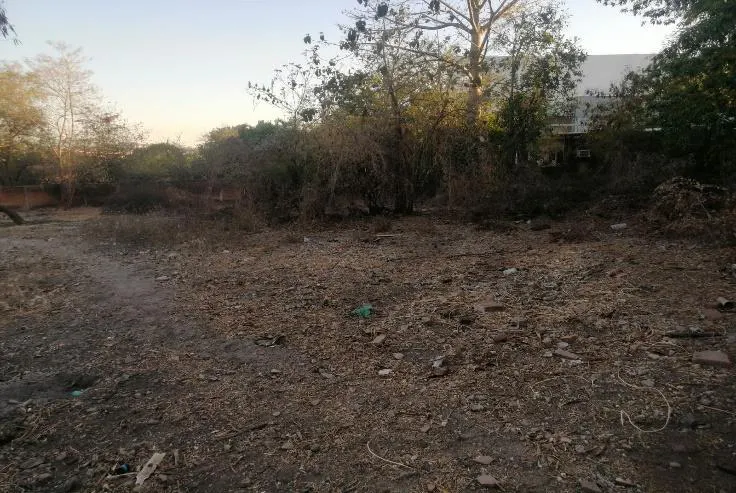 Terreno Spot2