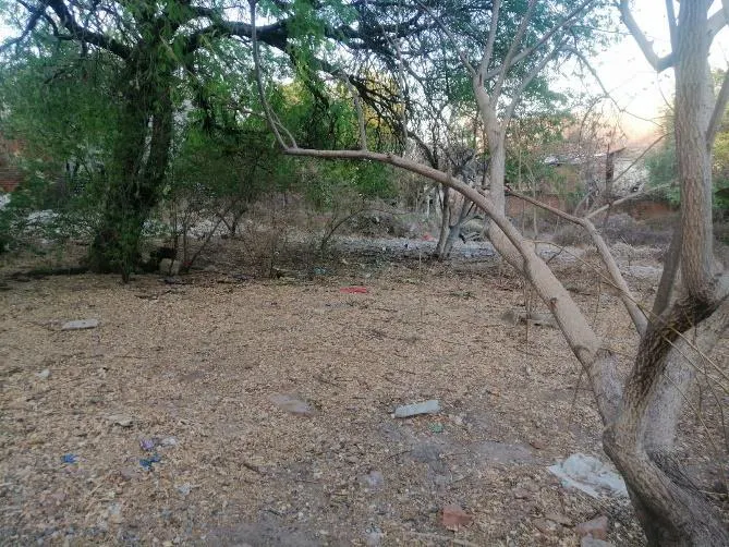 Terreno Spot2
