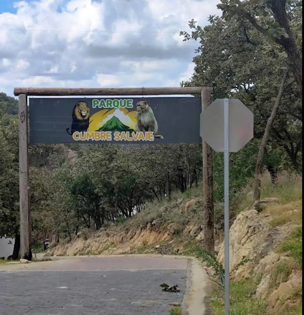 Terreno Spot2