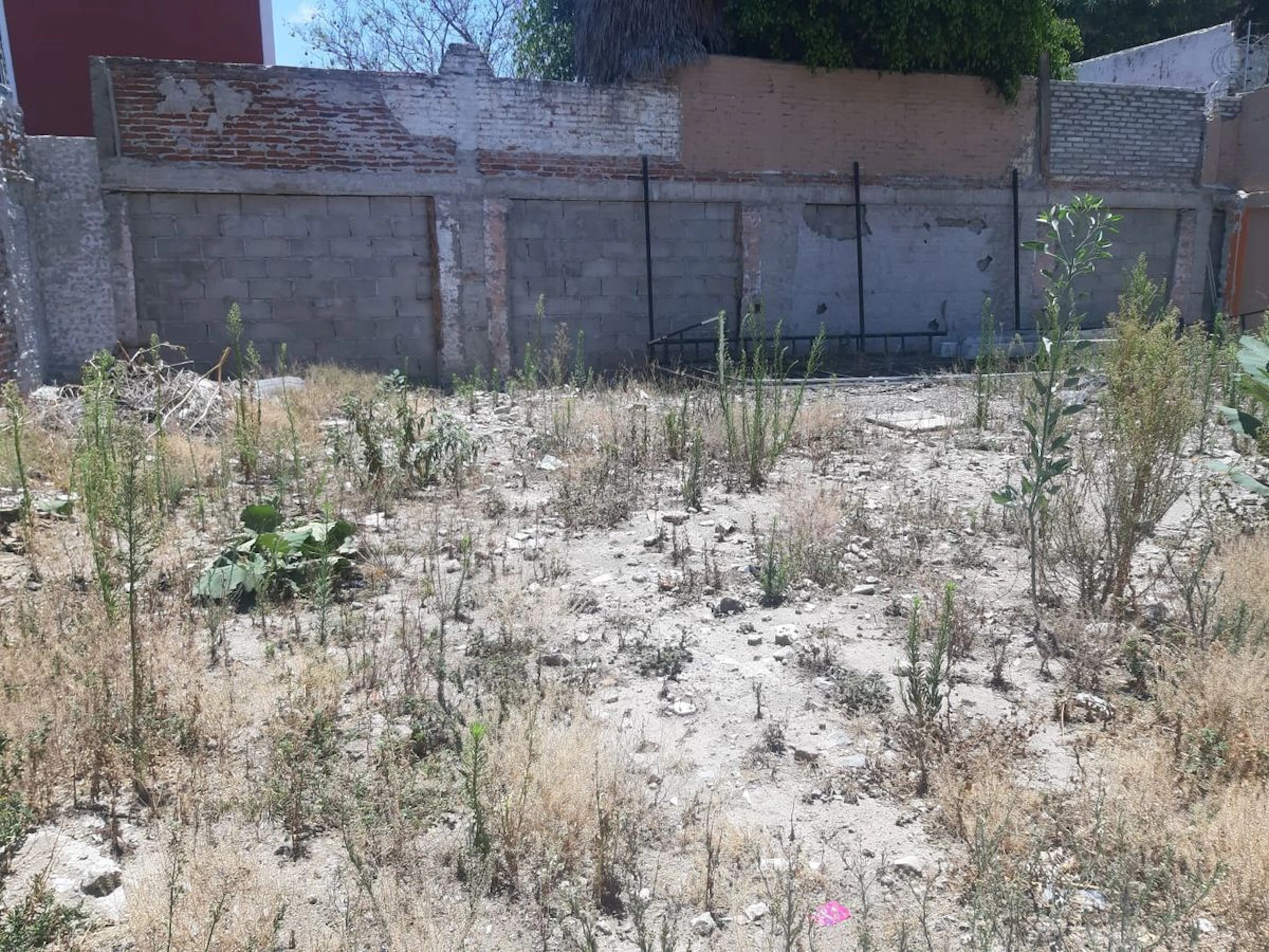 Terreno Spot2