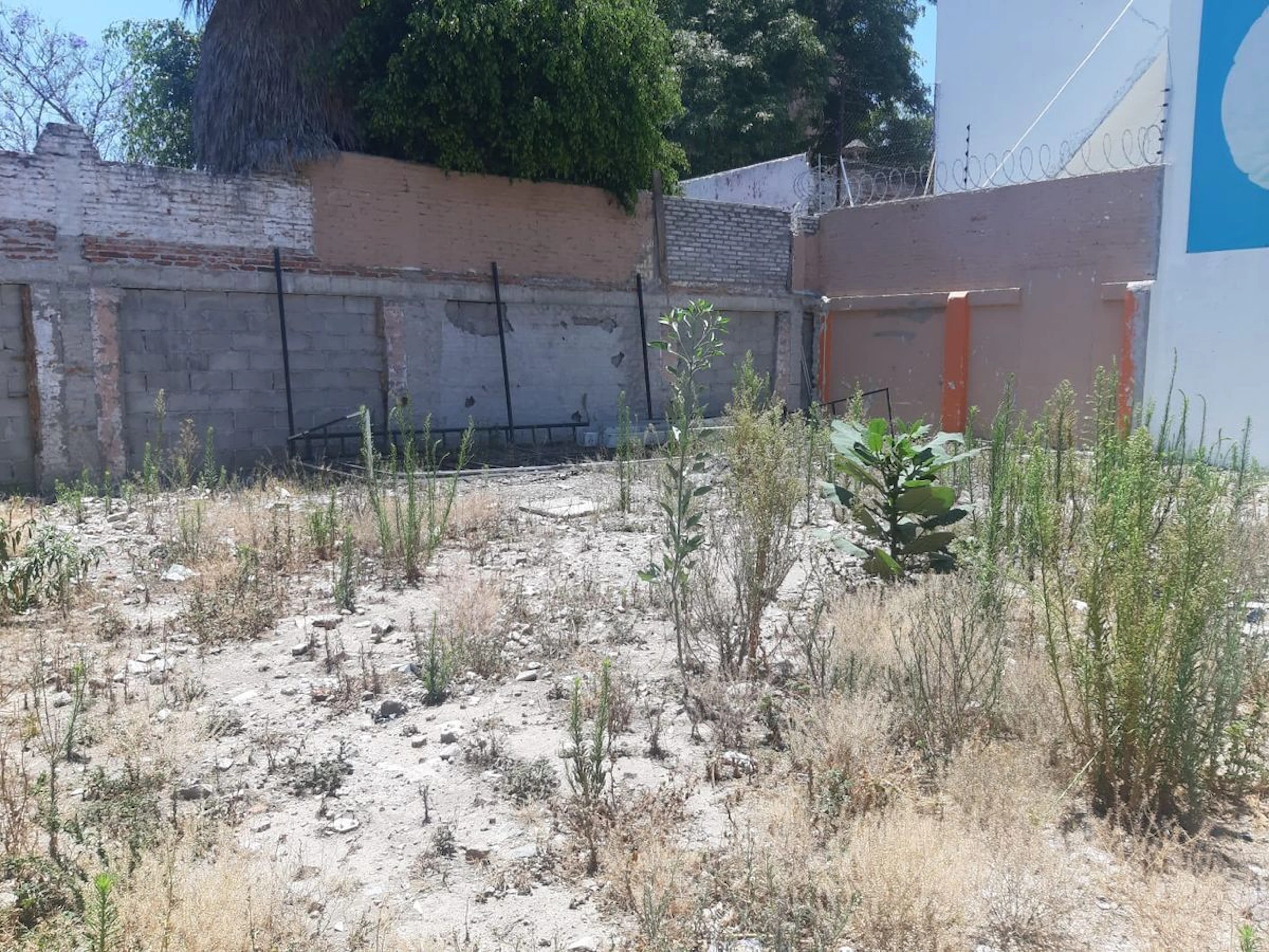 Terreno Spot2