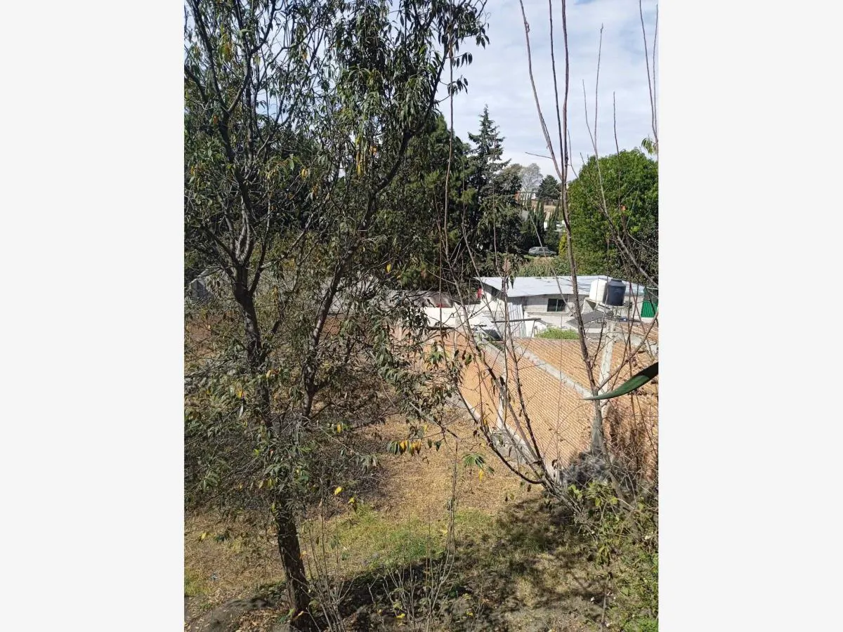 Terreno Spot2