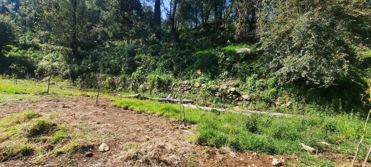 Terreno Spot2