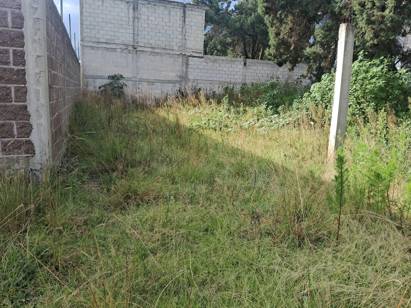 Terreno Spot2
