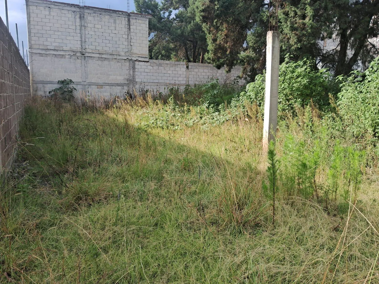 Terreno Spot2