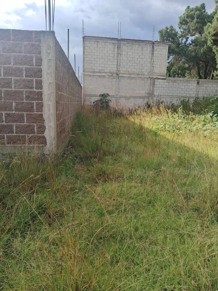 Terreno Spot2