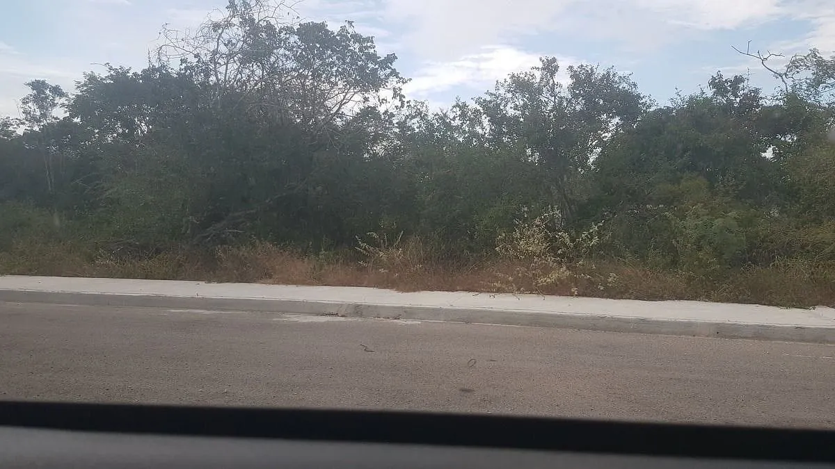 Terreno Spot2