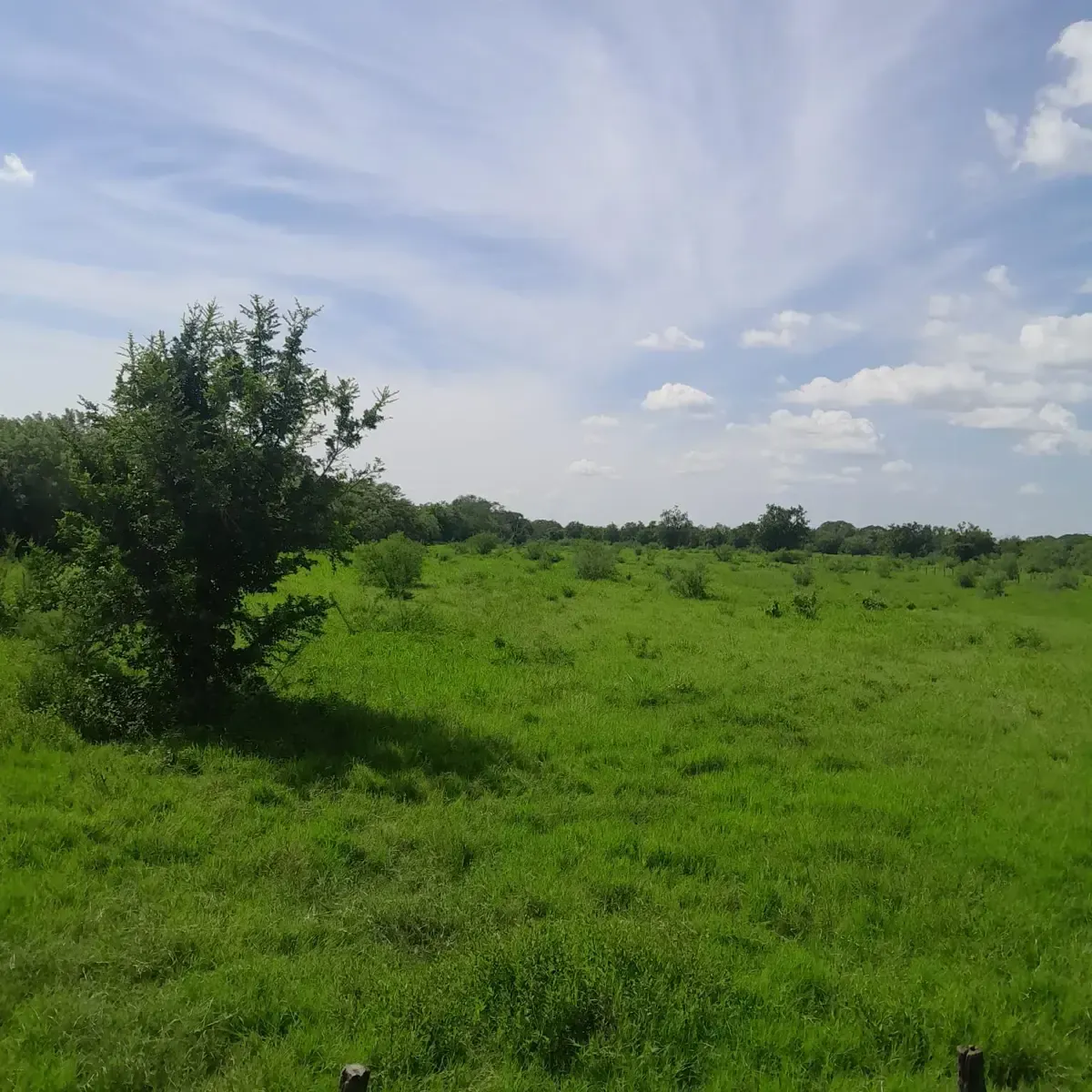 Terreno Spot2