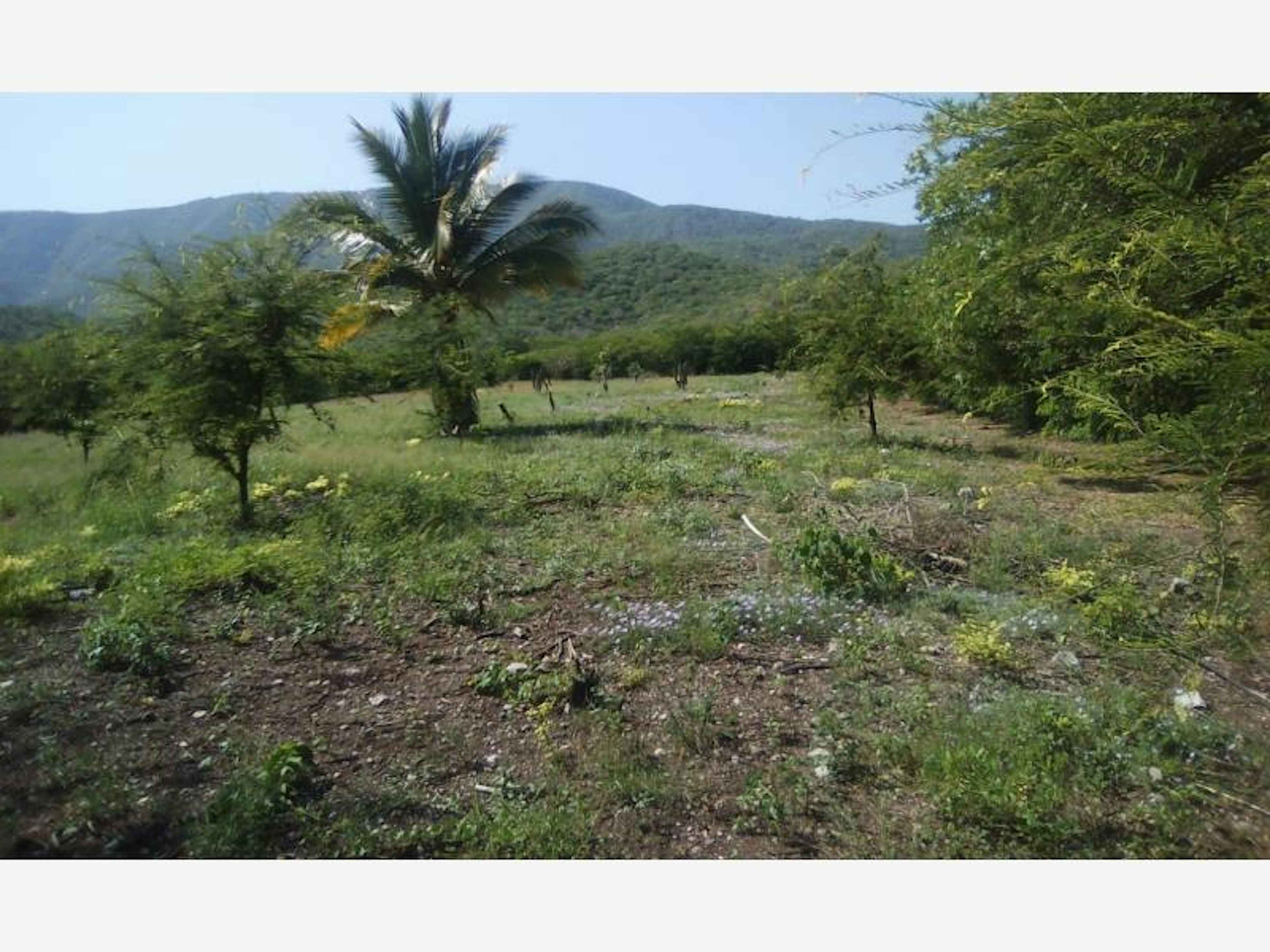 Terreno En Venta En Coquimatlan 10 Hectareas Con Agua De Paja, Coquimatlán, Colima