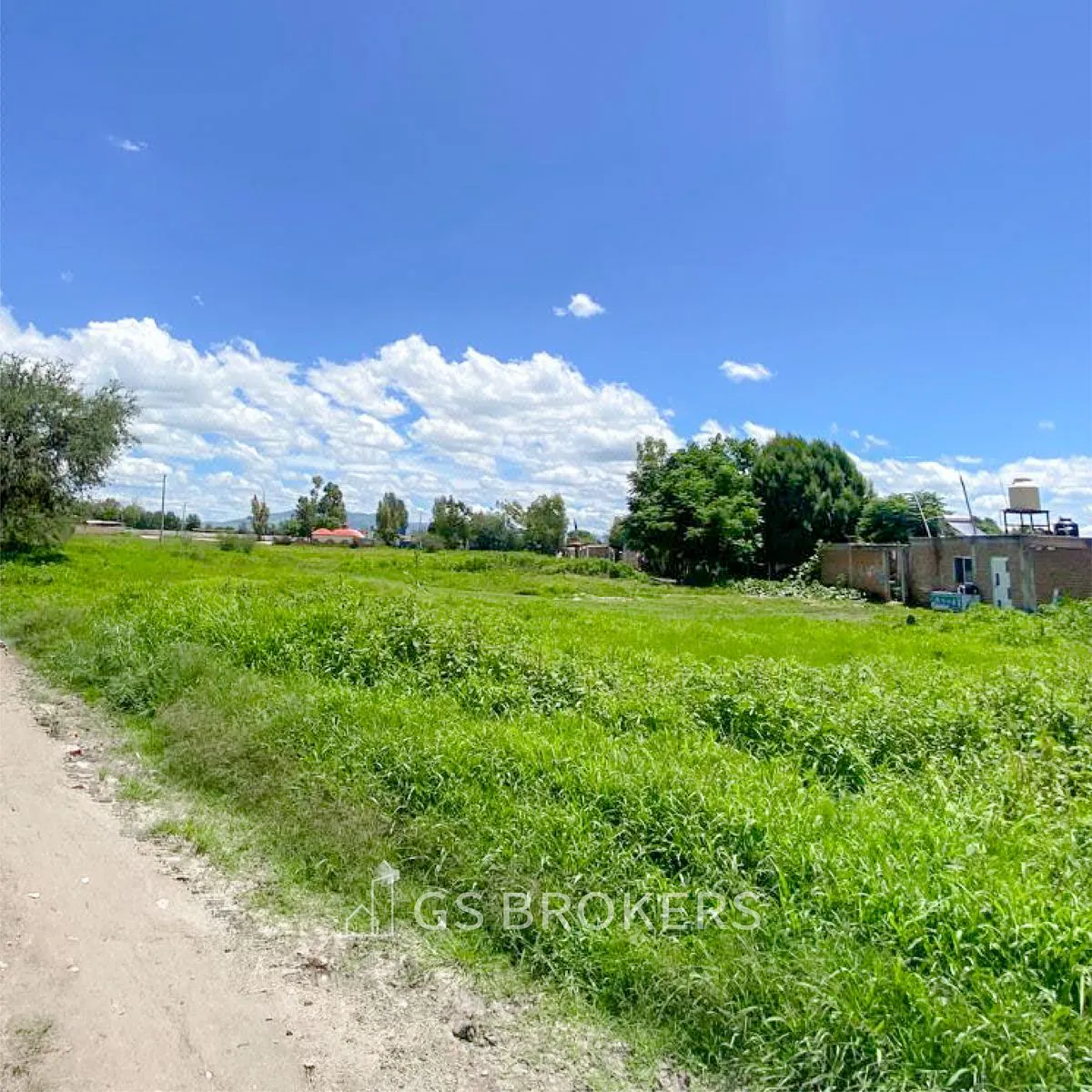Terreno Spot2