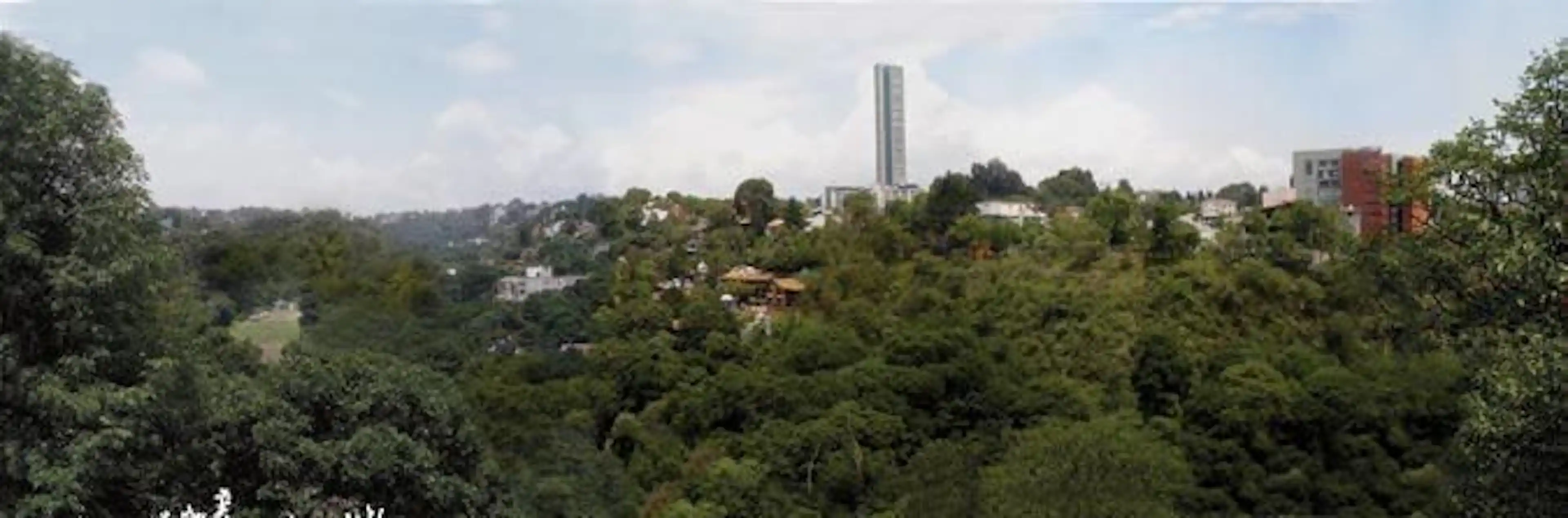 Paseo De Los Tamarindos 909