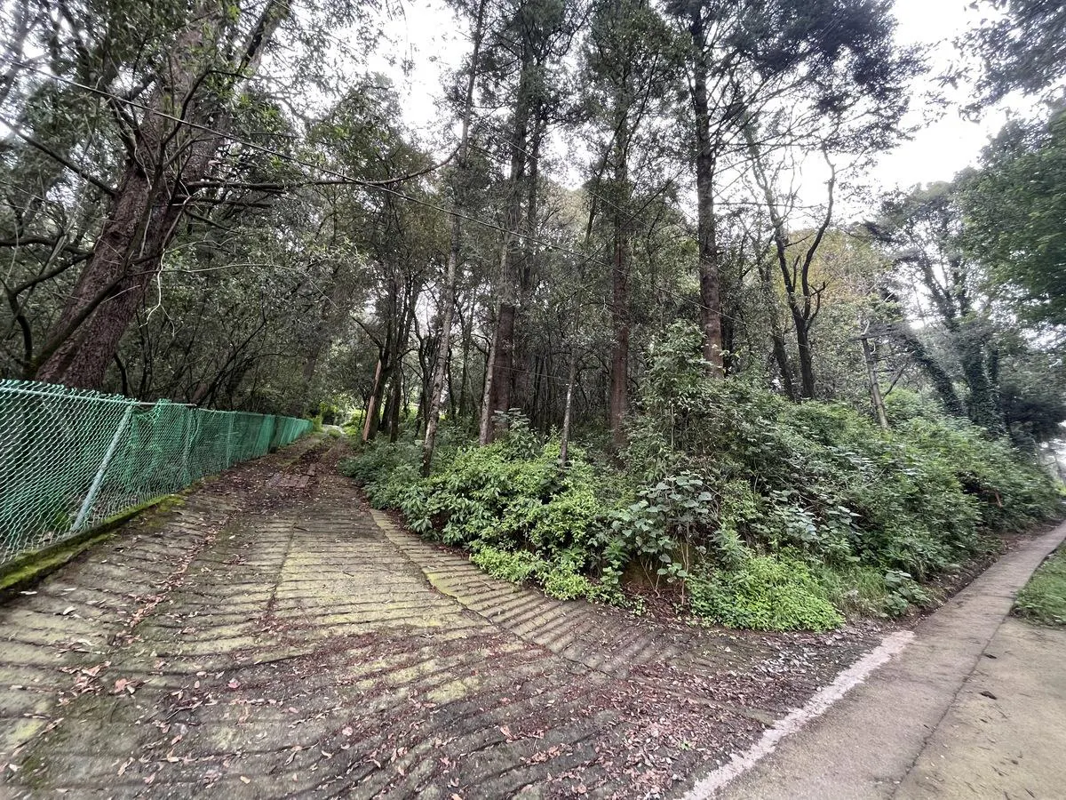 Terreno Spot2