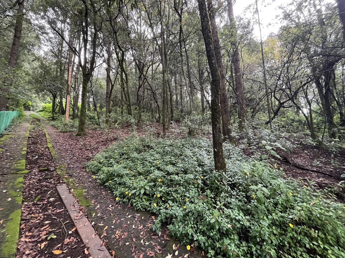 Terreno Spot2