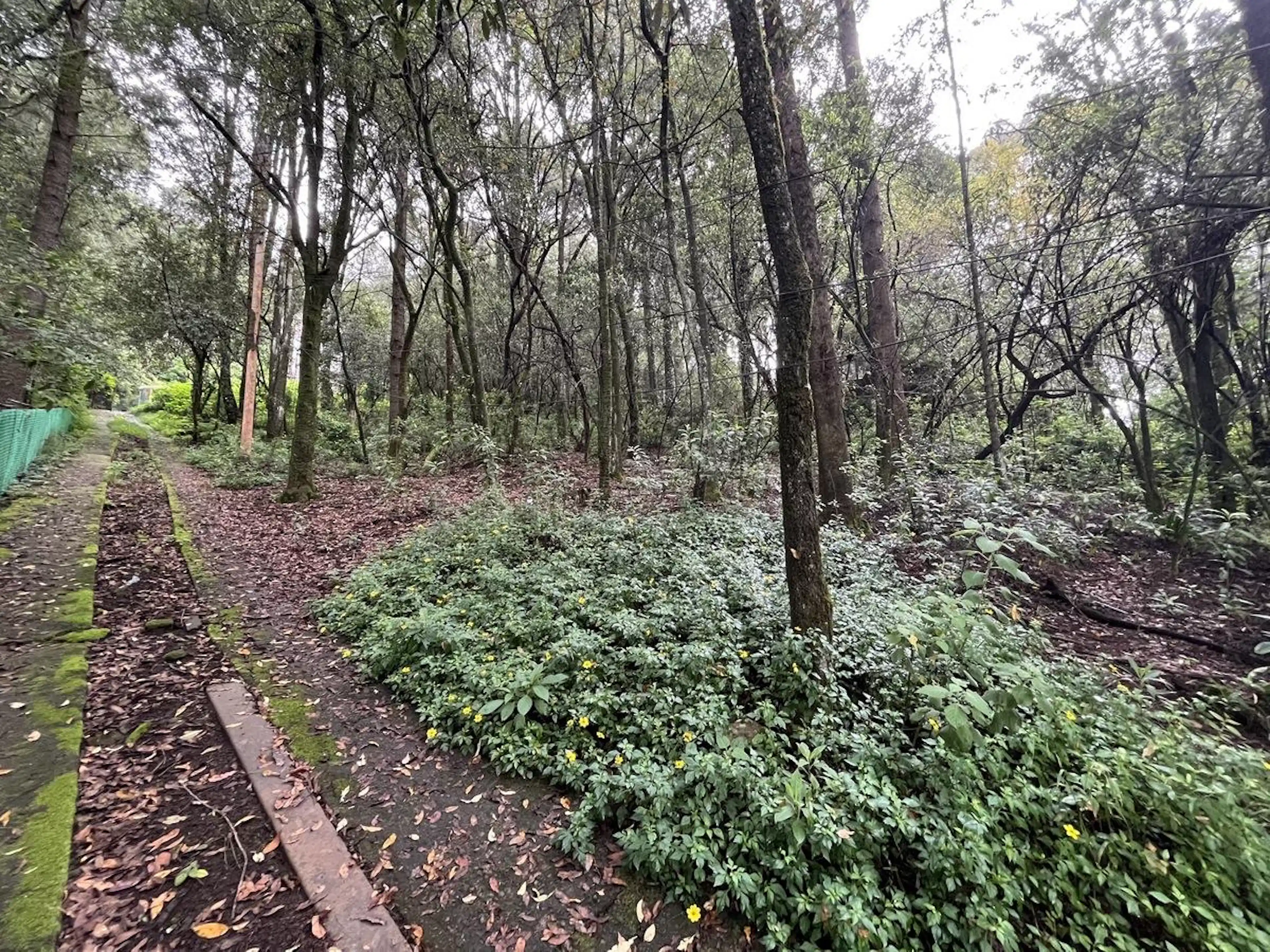 Terreno En Venta Santa Maria Mazatla