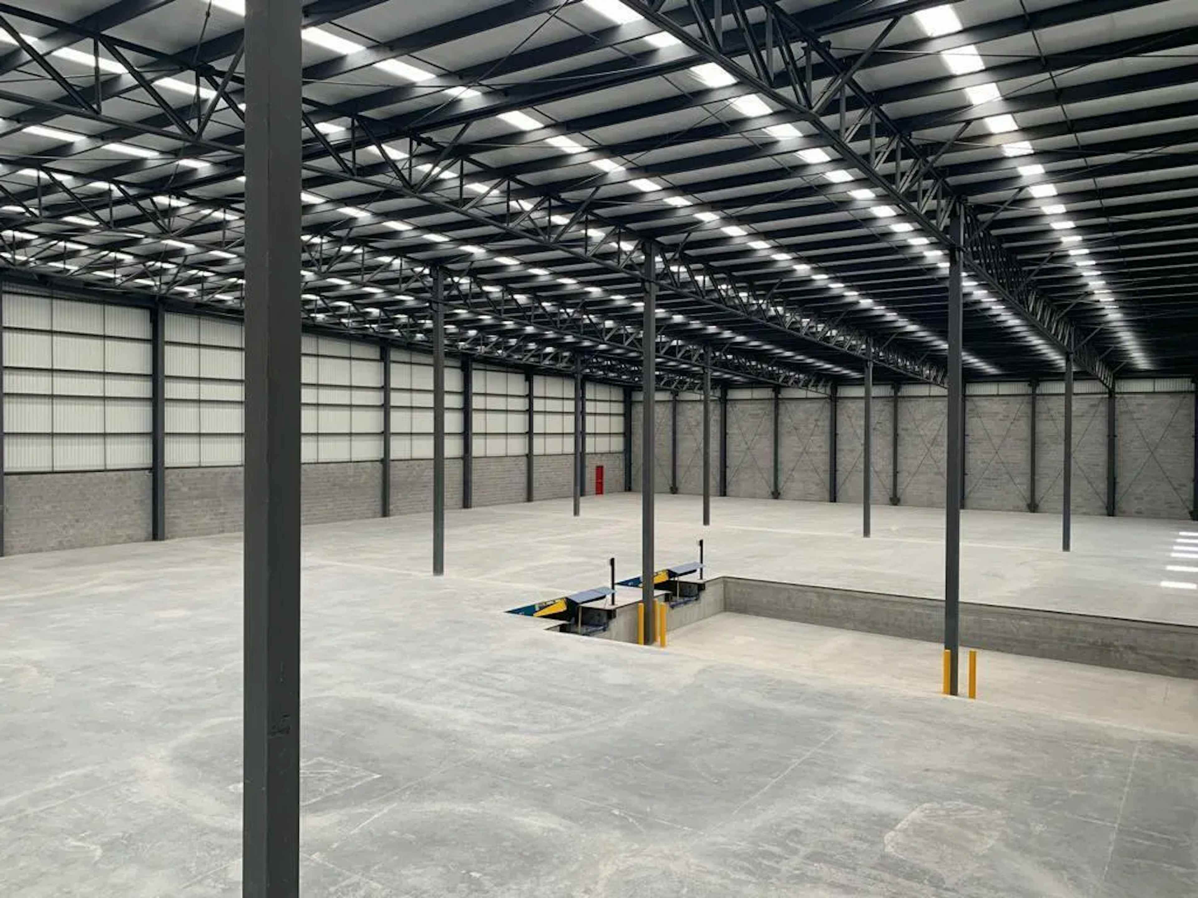 Bosque De Abetos 617