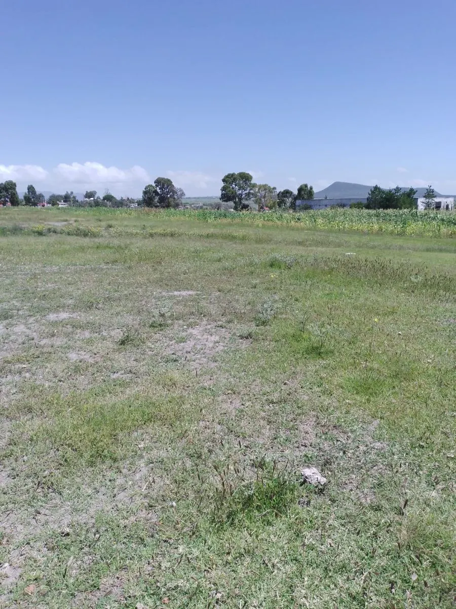 Terreno Spot2
