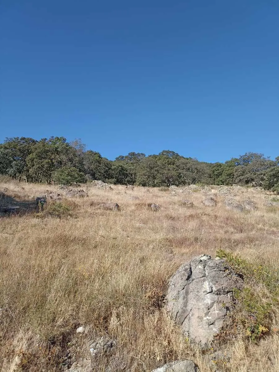 Terreno Spot2