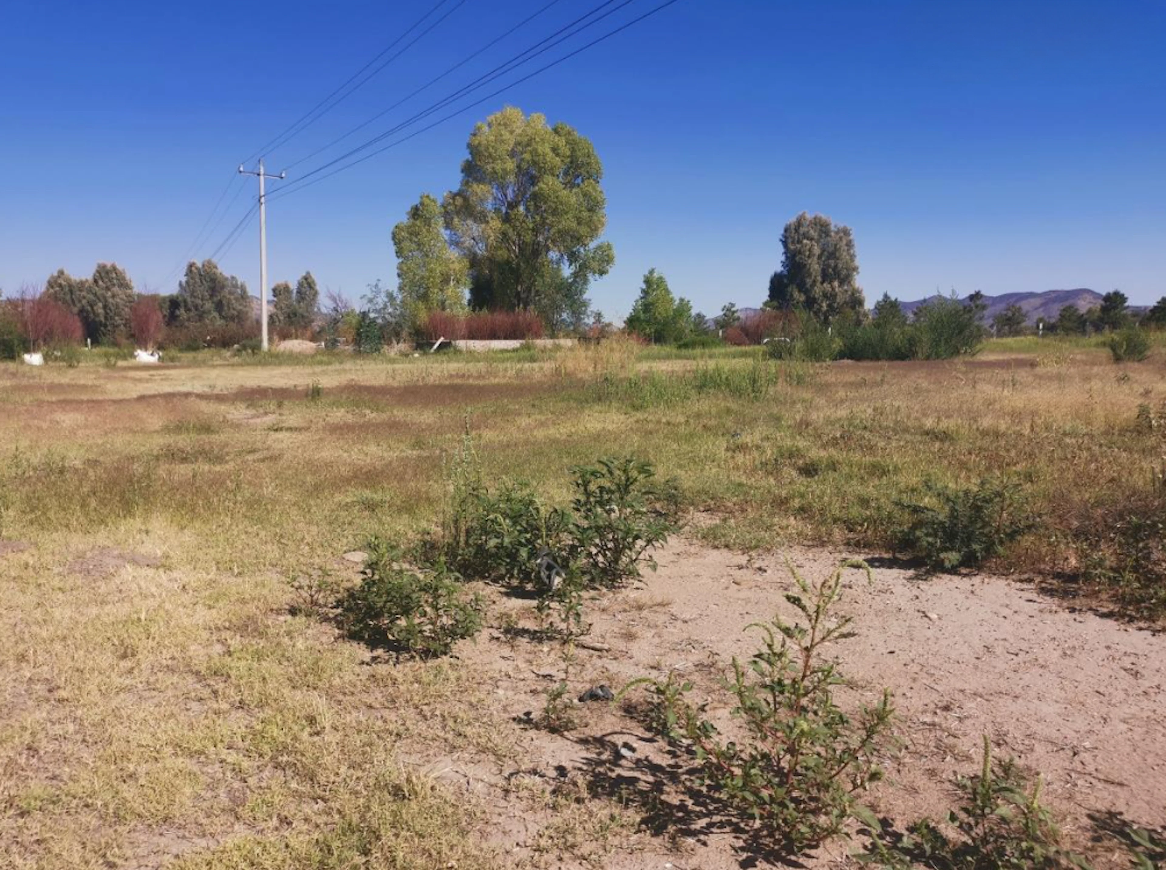 Terreno Spot2