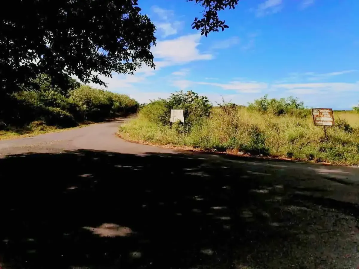 Terreno Spot2