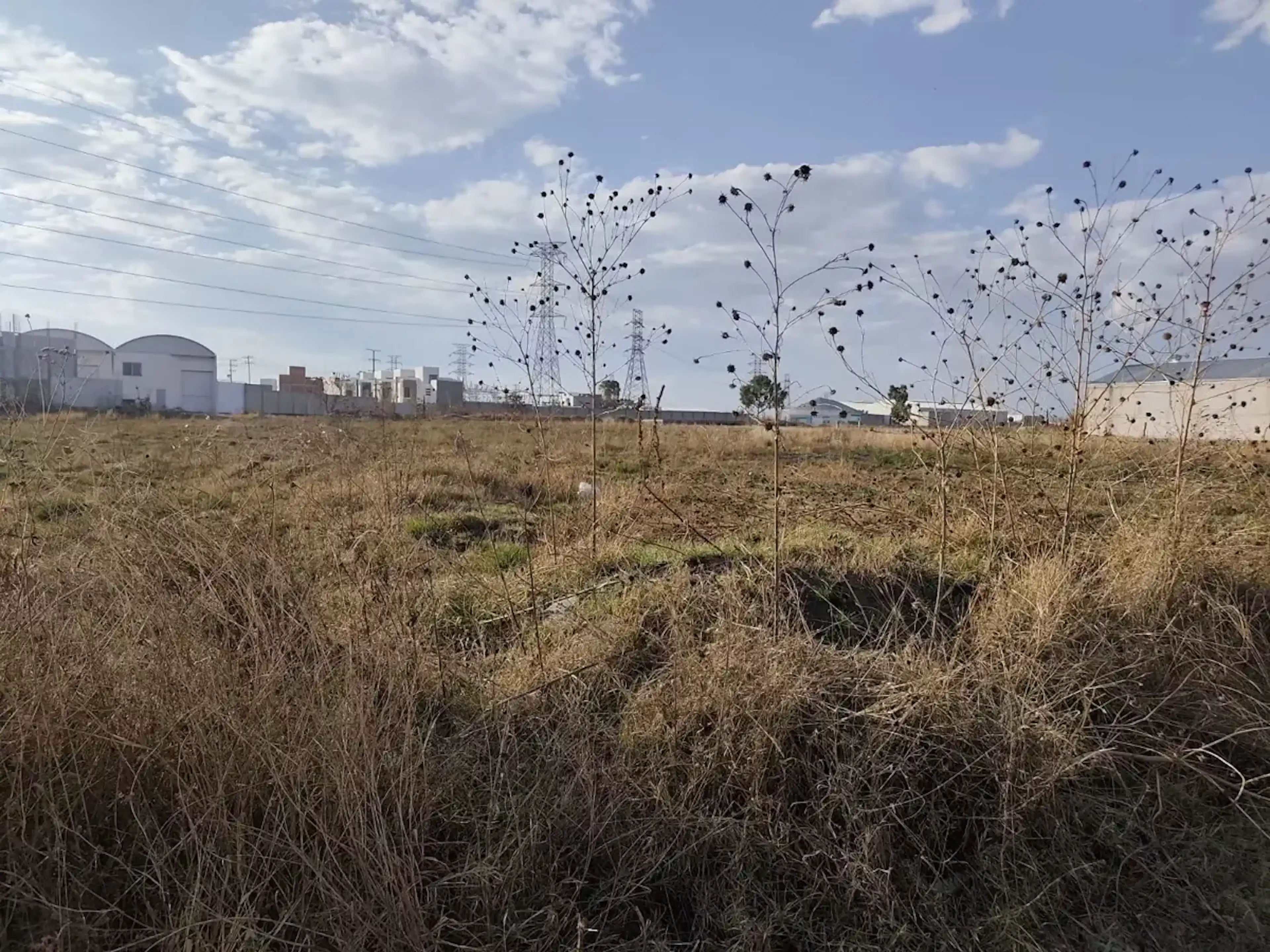 Terreno En Venta En San Bernardino Tlaxcalancingo, San Andrés Cholula, Puebla