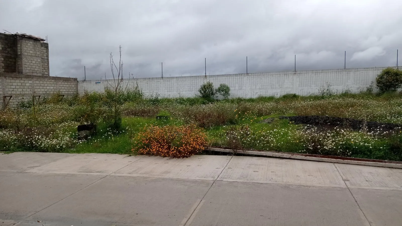 Terreno Spot2