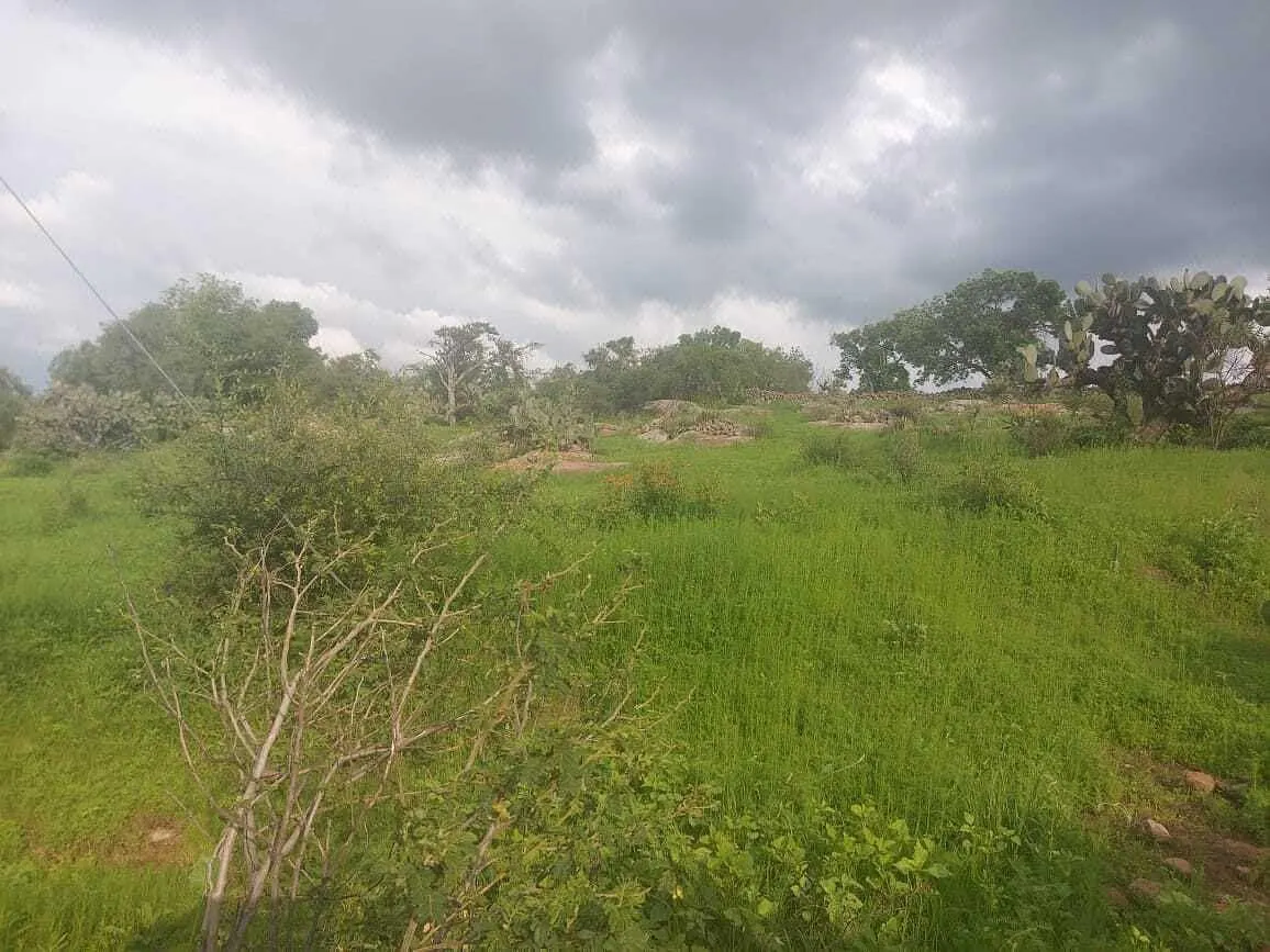 Terreno Spot2